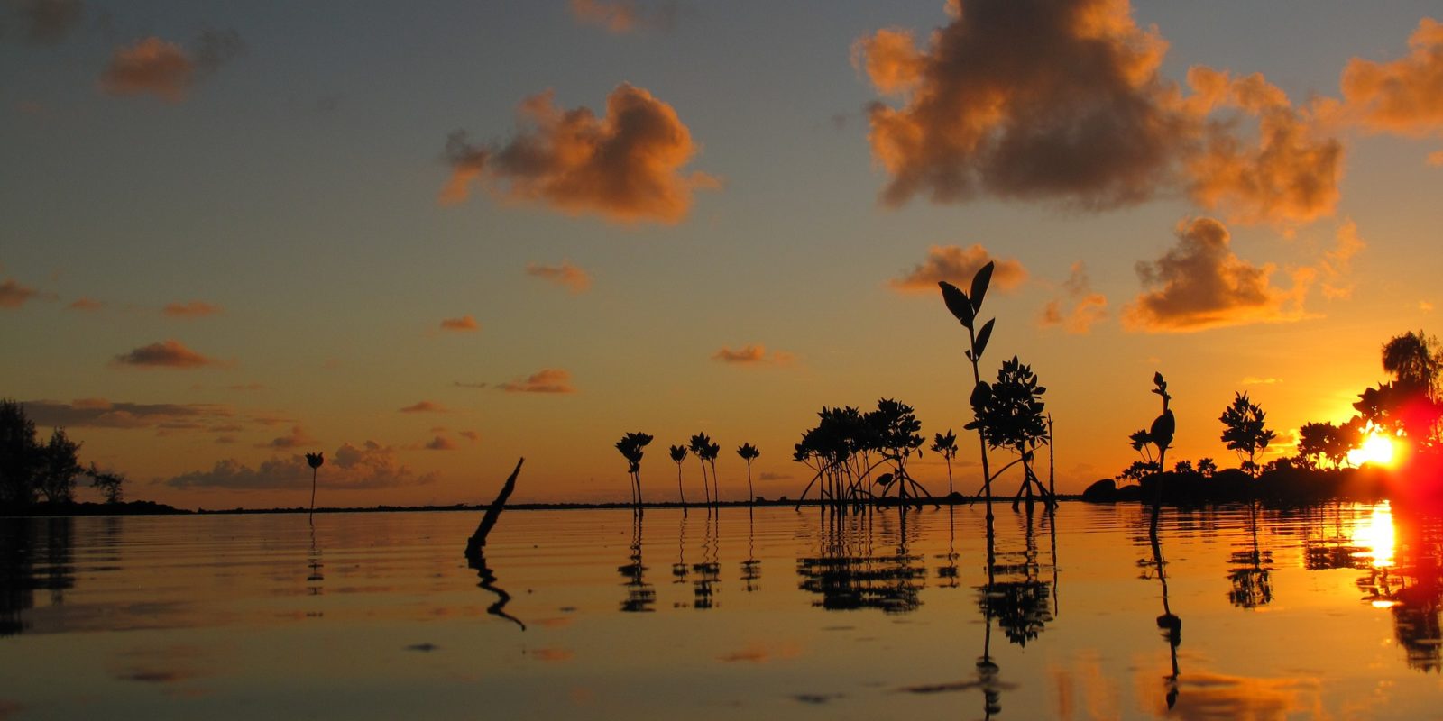 Romantic Sunrise, Mauritius