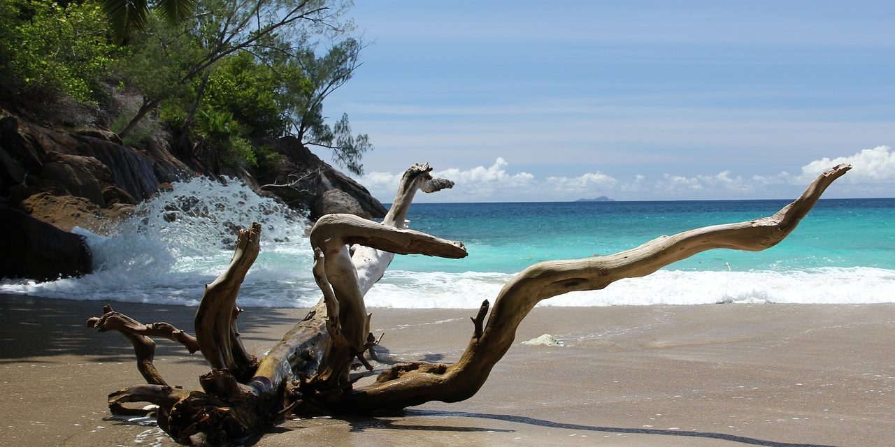 Anse beach, Seychelles