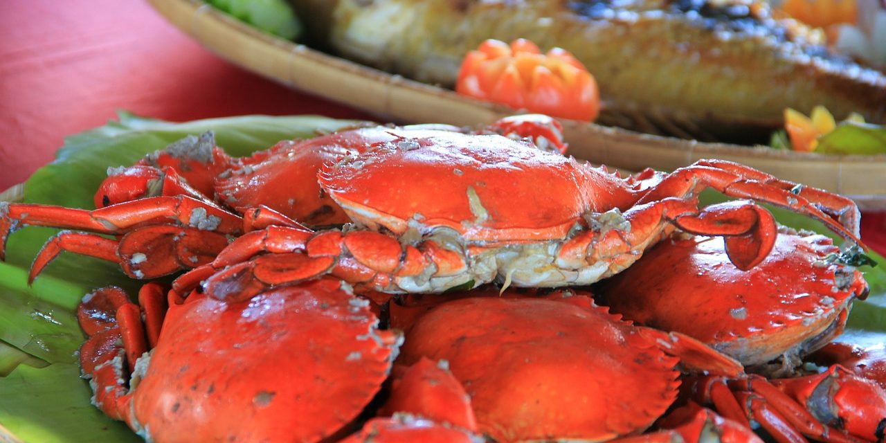 Lovely crabs_Palawan, Phillipines