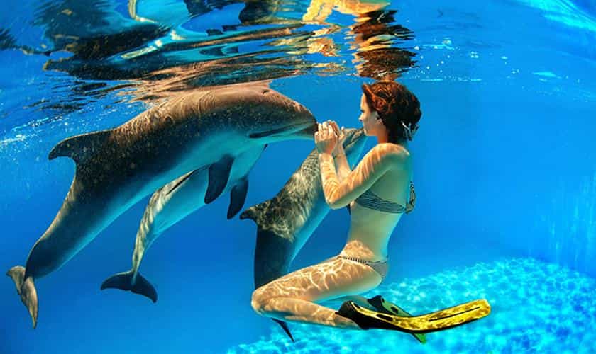 SWIMMING WITH DOLPHINS, MAURITIUS